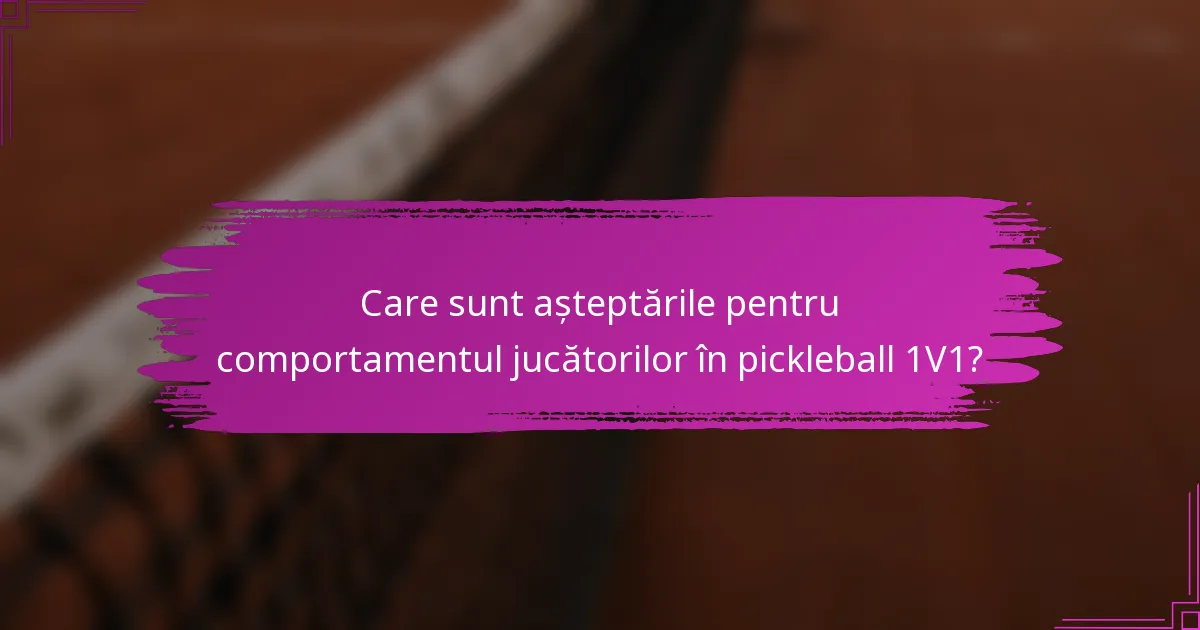 Care sunt așteptările pentru comportamentul jucătorilor în pickleball 1V1?