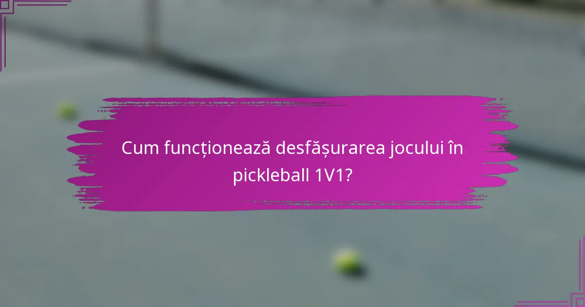 Cum funcționează desfășurarea jocului în pickleball 1V1?